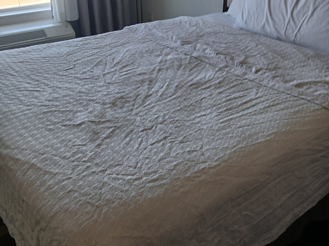 堪萨斯城赛道Homewood Suites by Hilton主图