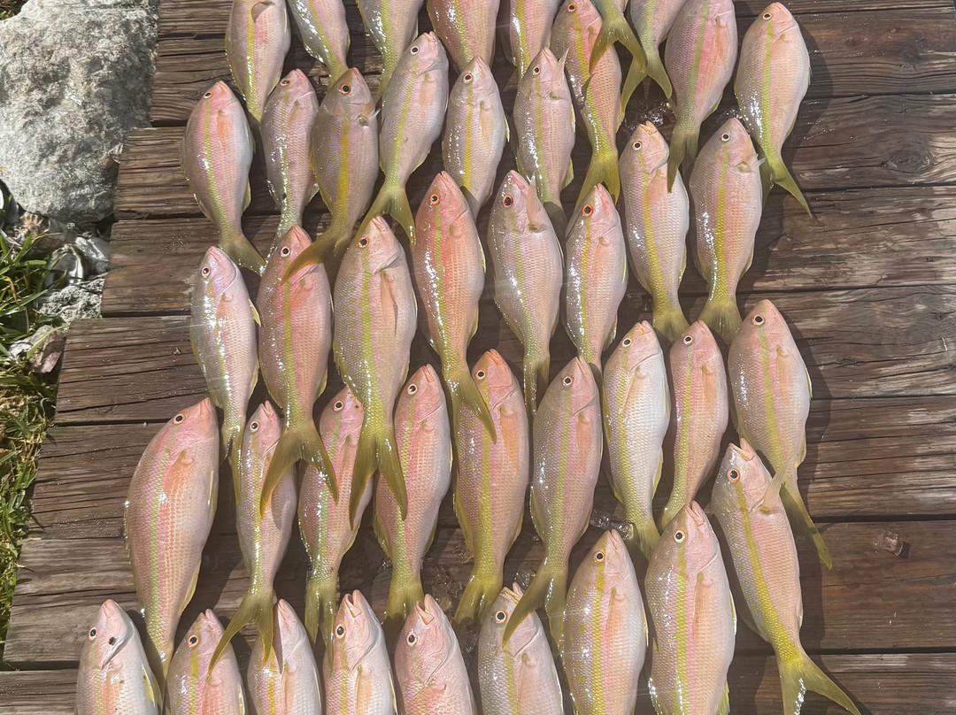 Caribsea Sport Fishing Charters-伊斯拉摩拉达必去景点
