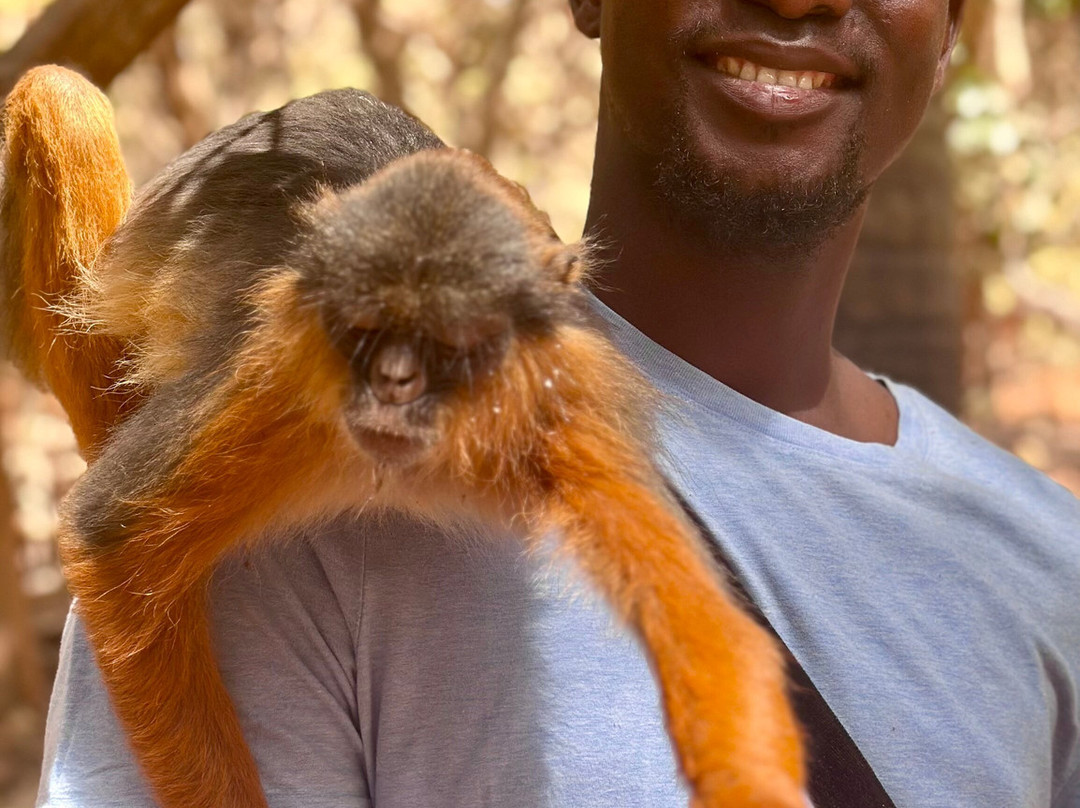 Tour Gambia-Brusubi必去景点