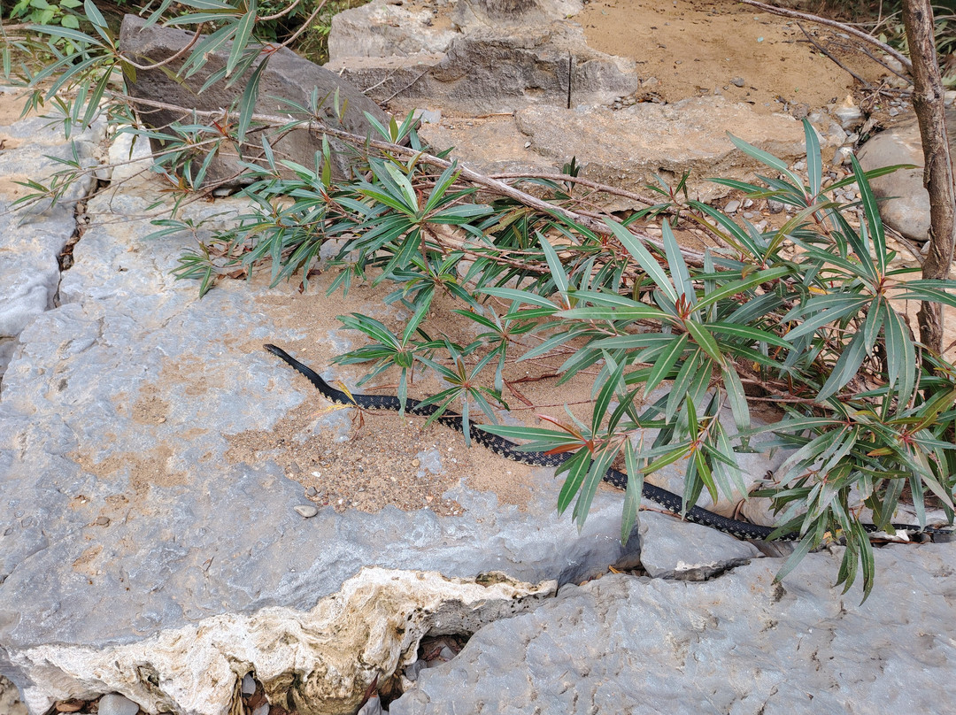 Madagascar Visite Company-安塔那那利佛必去景点