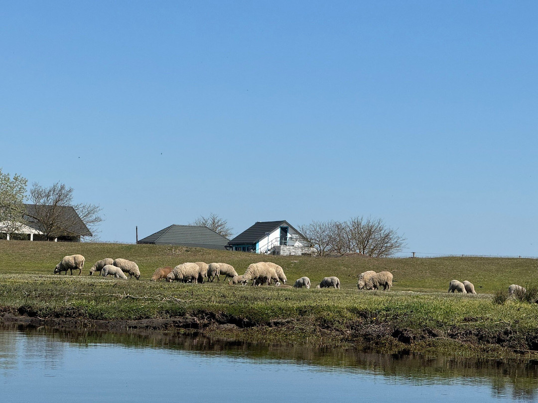 Tours in Delta with John-Crisan必去景点