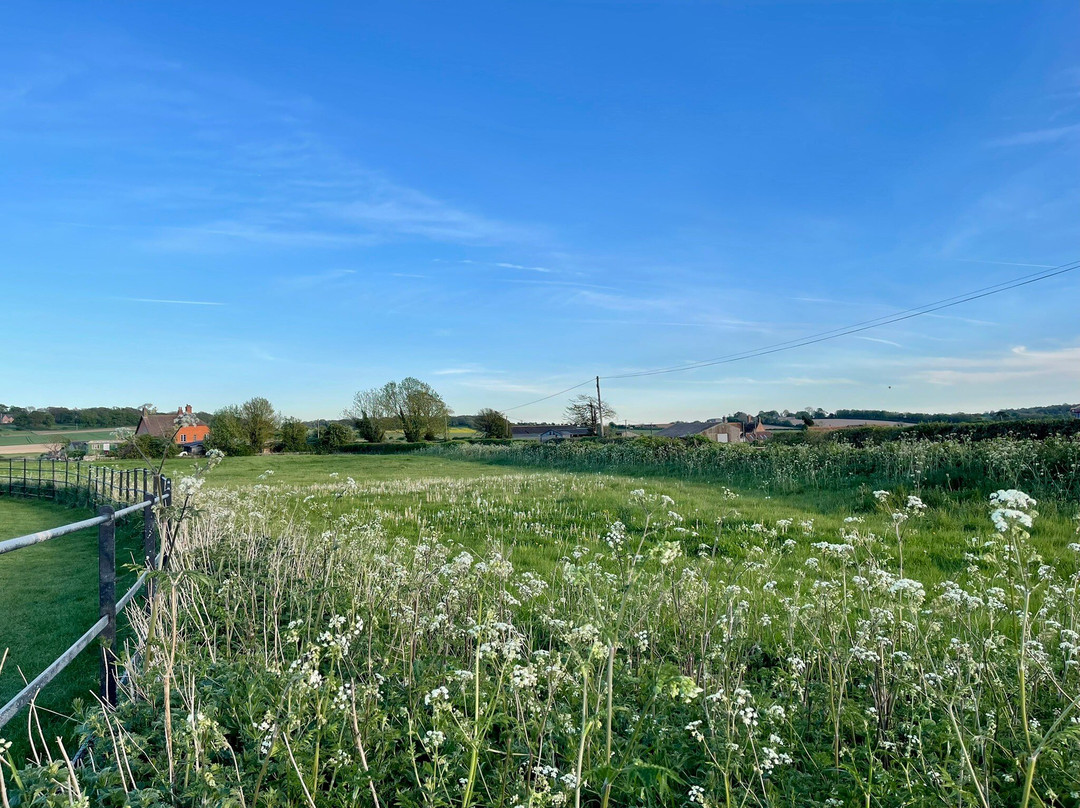 Knowlton Church and Earthworks-Cranborne必去景点