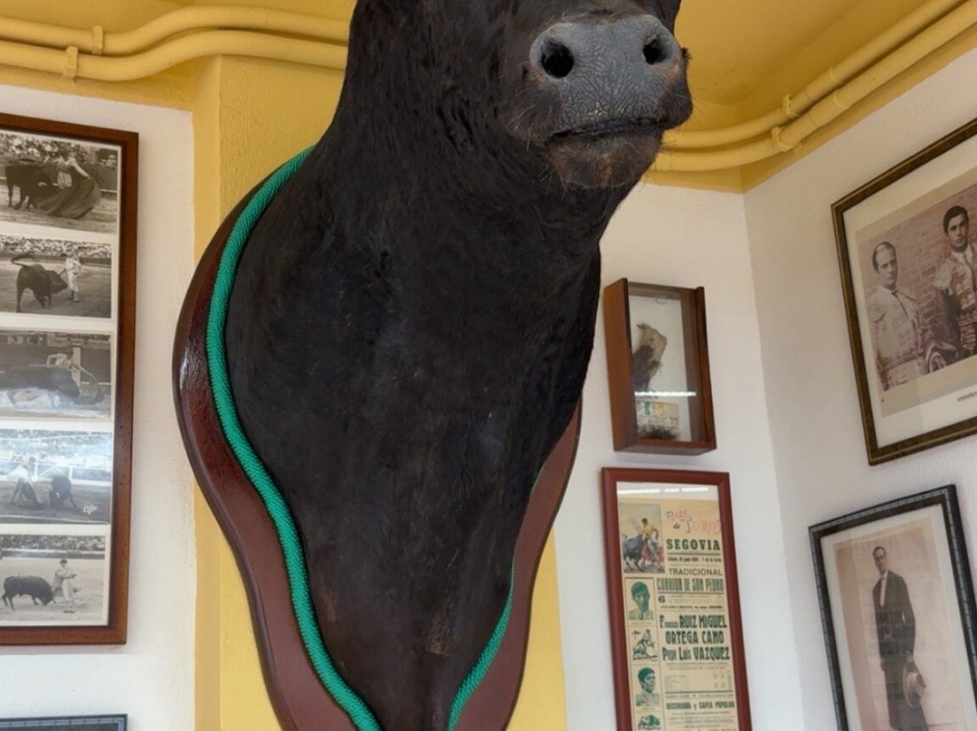 Palaeontology Museum of Estepona-埃斯特波纳必去景点