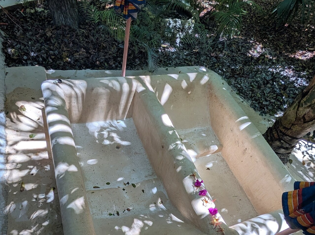 Los Colibries Mayan Jungle Spa-从莫雷洛斯港必去景点