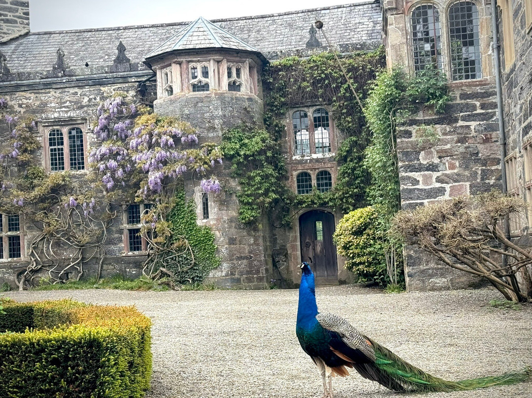 Gwydir Castle-Llanrwst必去景点