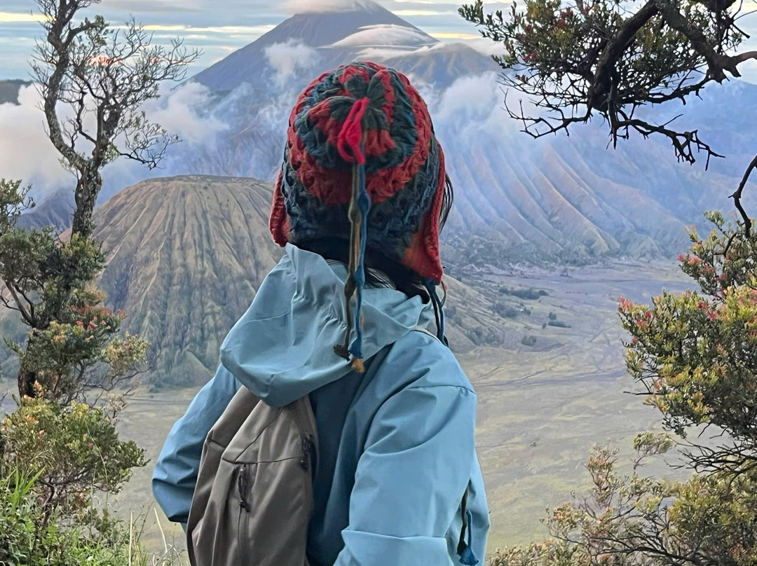 Tour Package Bromo Sunrise (by Erwin)-玛琅必去景点