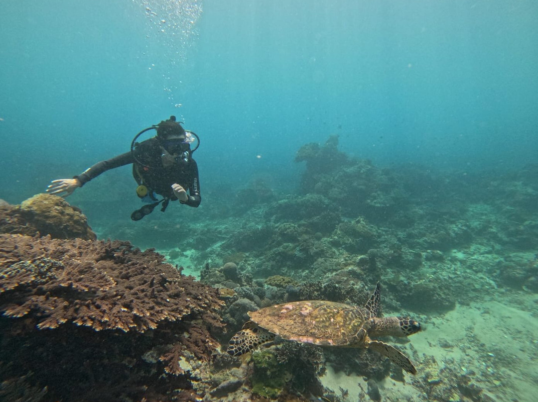 Bali Hai Diving Adventures-蓝梦岛必去景点