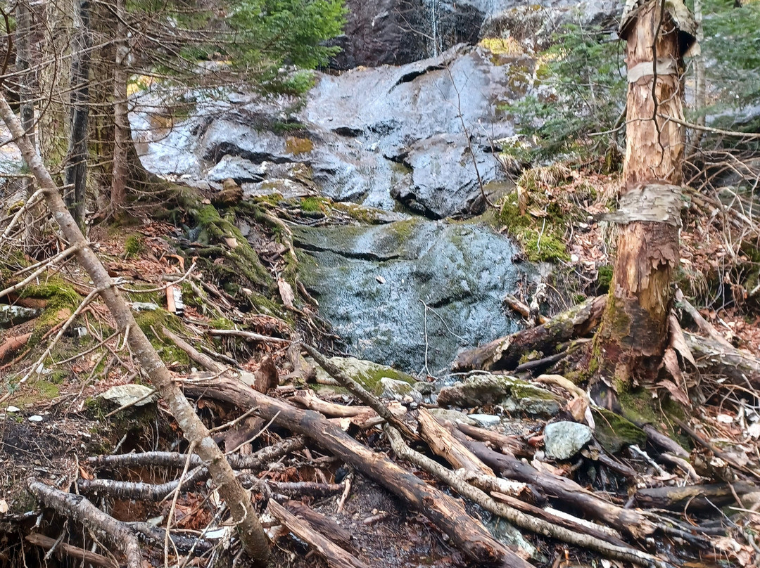 Camel's Hump State Park-沃特伯里必去景点