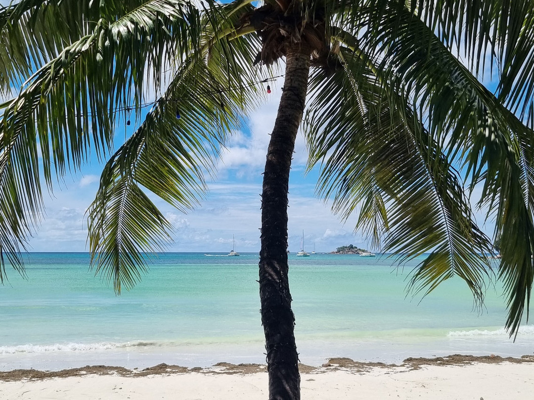 普拉斯林公爵别墅酒店主图