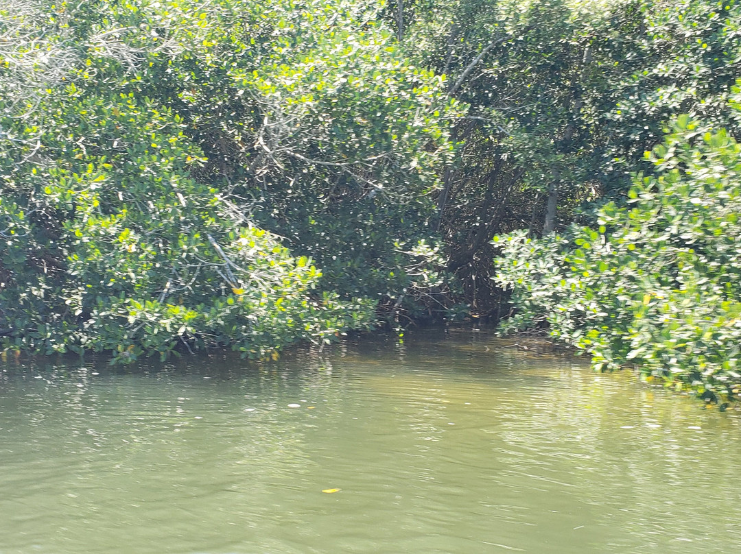Parque Natural Ria Lagartos-里奥拉加托斯必去景点