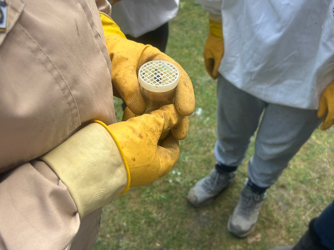 Hen Corner-布伦特福德必去景点