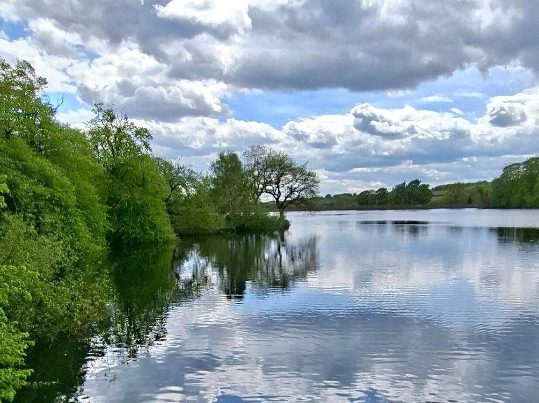 Knypersley Reservoir-Biddulph必去景点