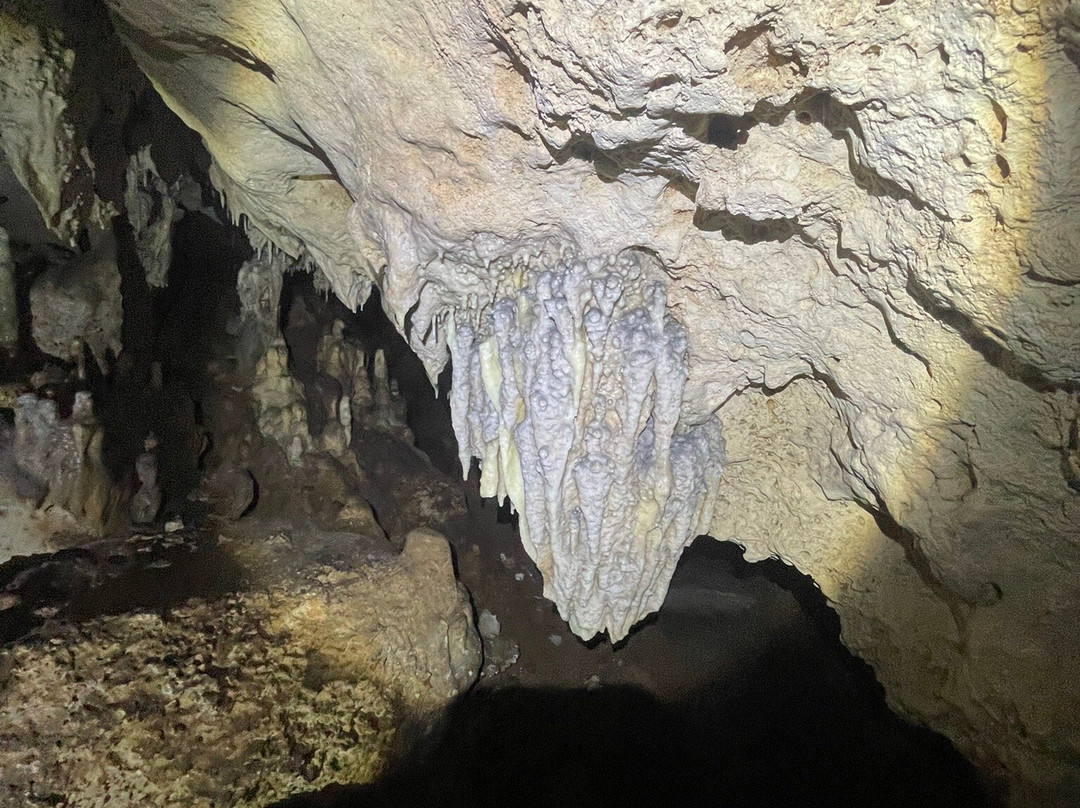 Parque Ecoturistico Cenote Aktun Bej-图伦必去景点