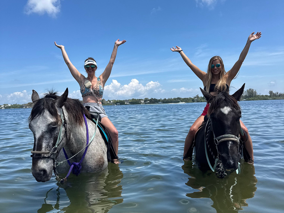 Florida Beach Horses-布雷登顿必去景点