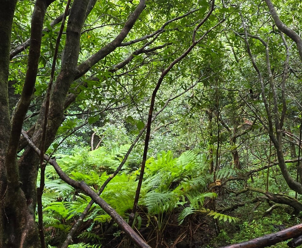 Vallé Advenature Park-Chamouny必去景点