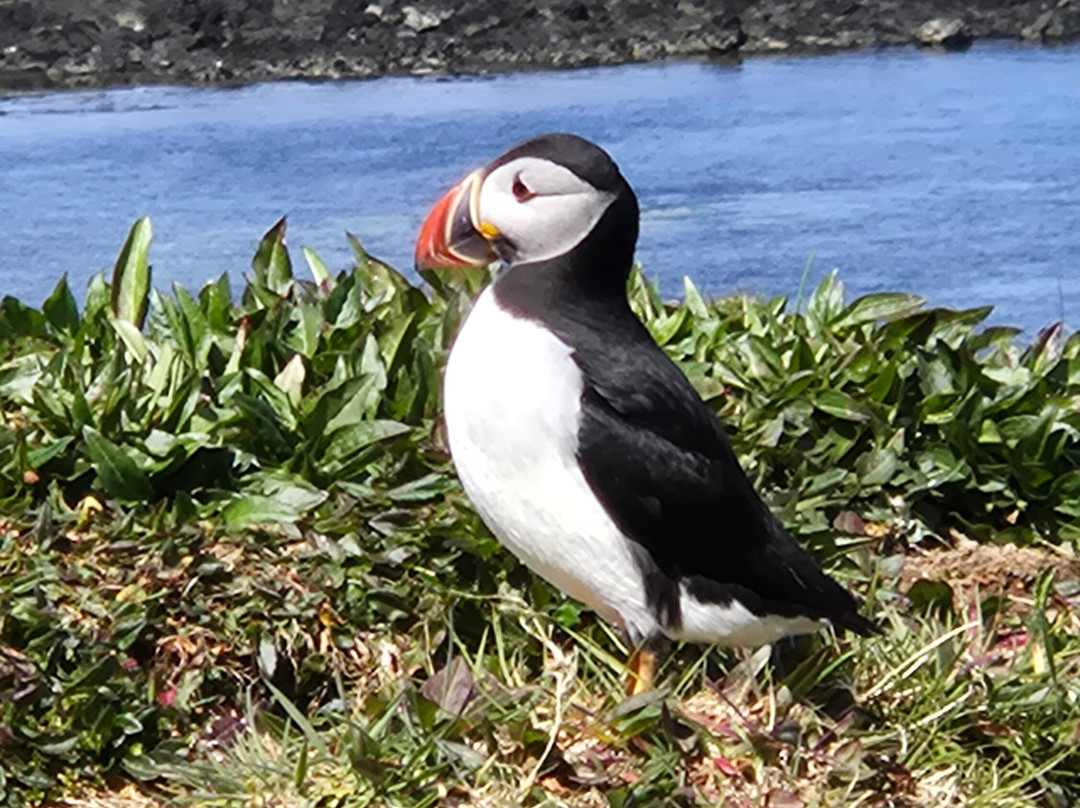 Tiree Sea Tours-Isle of Tiree必去景点