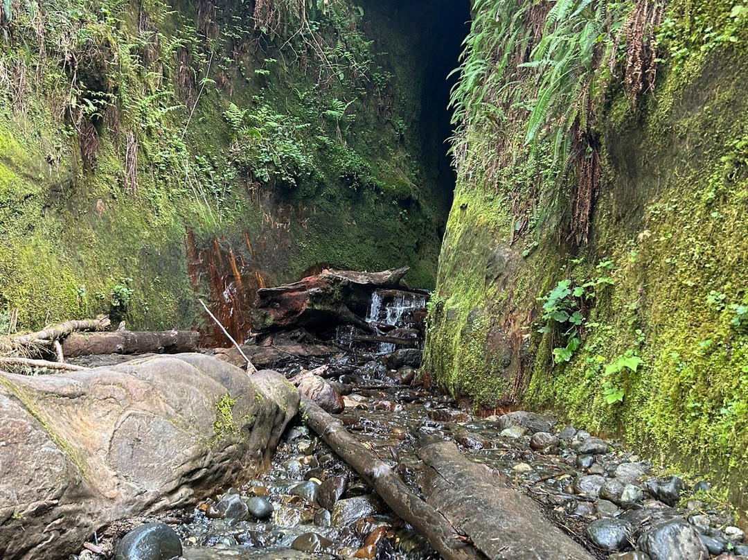 Sombrio Beach-Port Renfrew必去景点