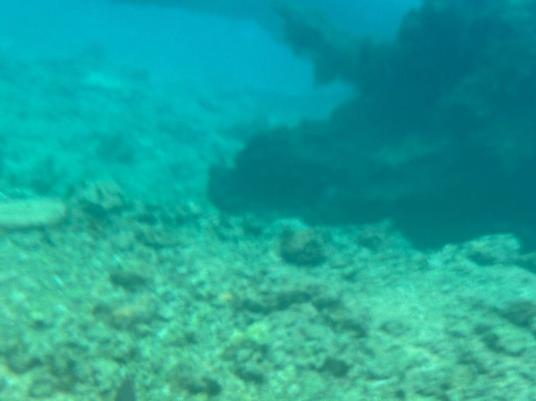 Riri Blue Hole-卢甘维尔必去景点