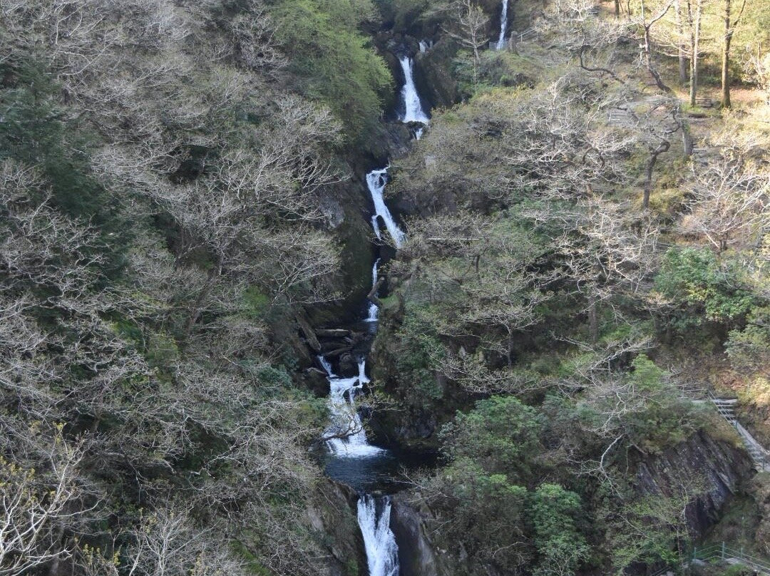 Devil's Bridge Waterfalls-Devil's Bridge (Pontarfynach)必去景点