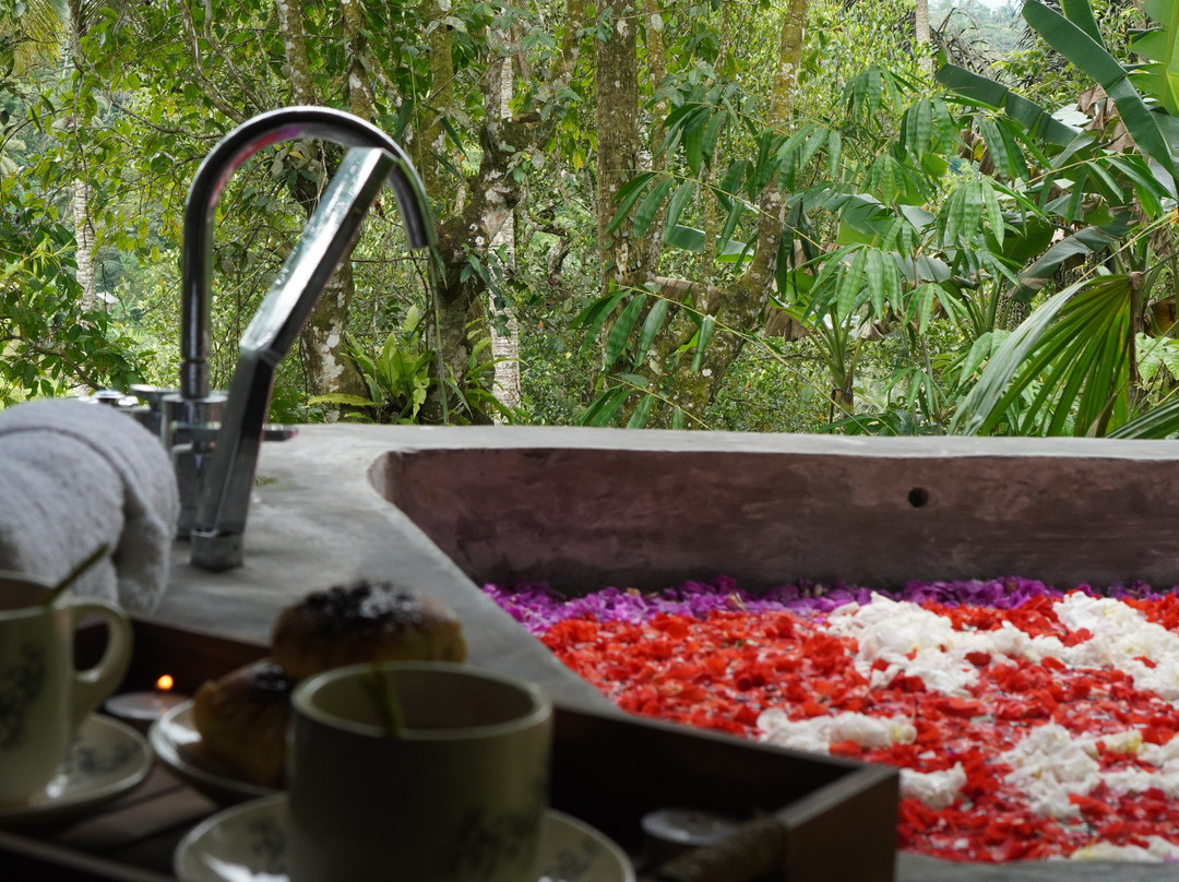 Sarira Healing Spa-Tegallalang必去景点