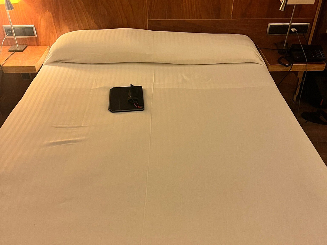 皮库斯德欧罗巴酒店主图