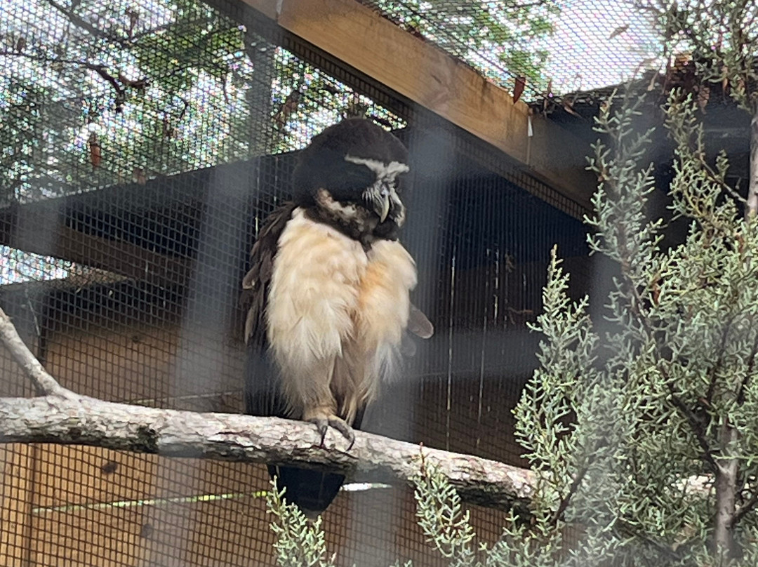 North Florida Wildlife Center-Lamont必去景点