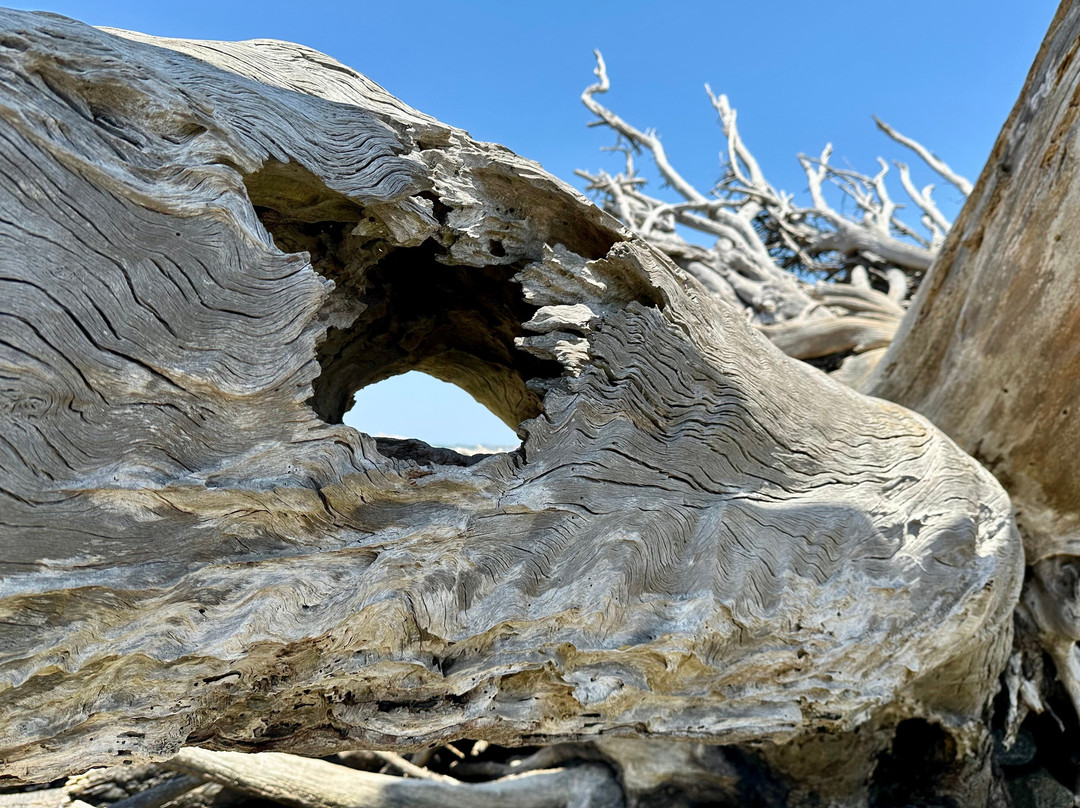 Driftwood Beach-吉柯岛必去景点