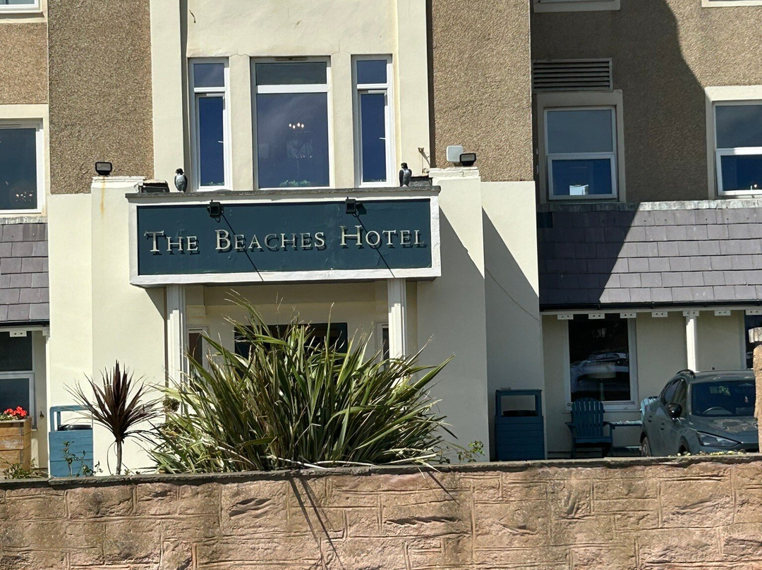 海滩水疗酒店主图