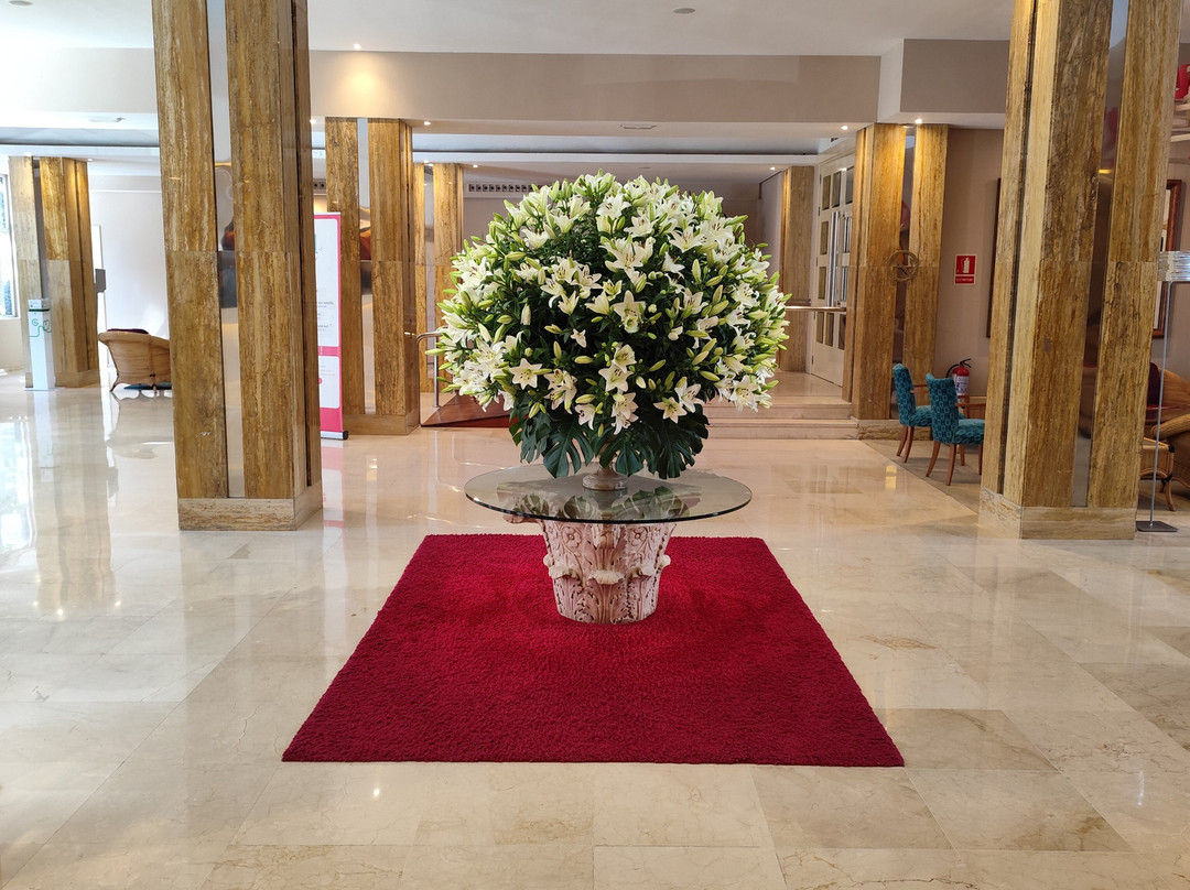 公牛雷纳伊莎贝尔 SPA 酒店主图