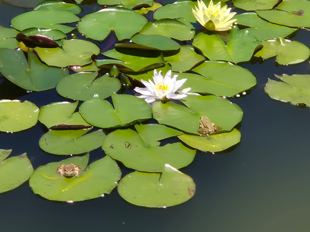 Maravel Garden-Spili必去景点