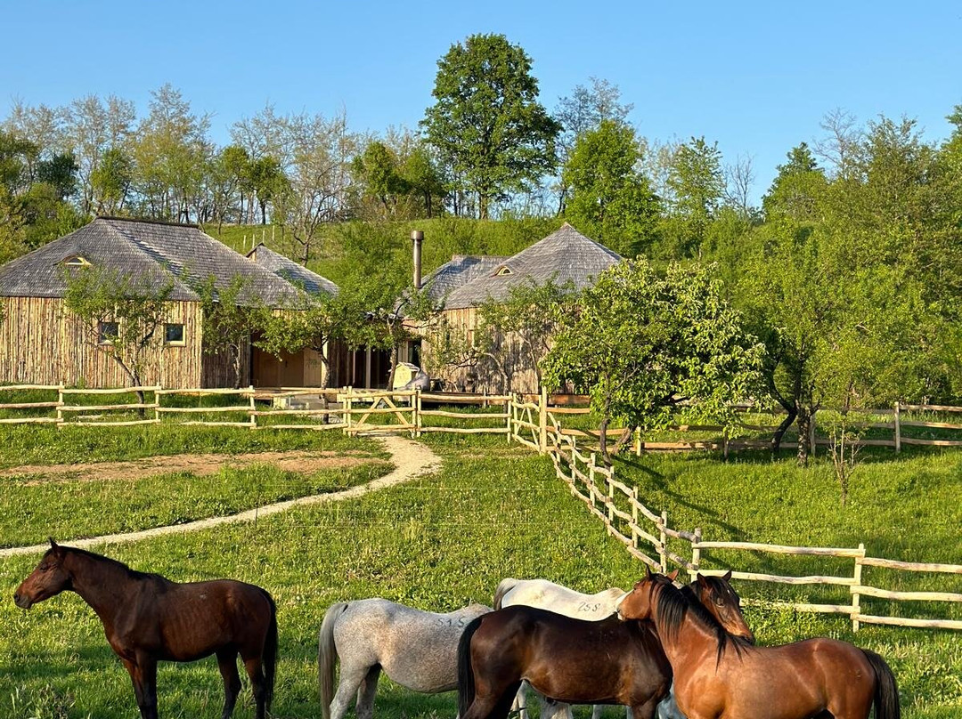 Horses Nest-Vaideeni必去景点