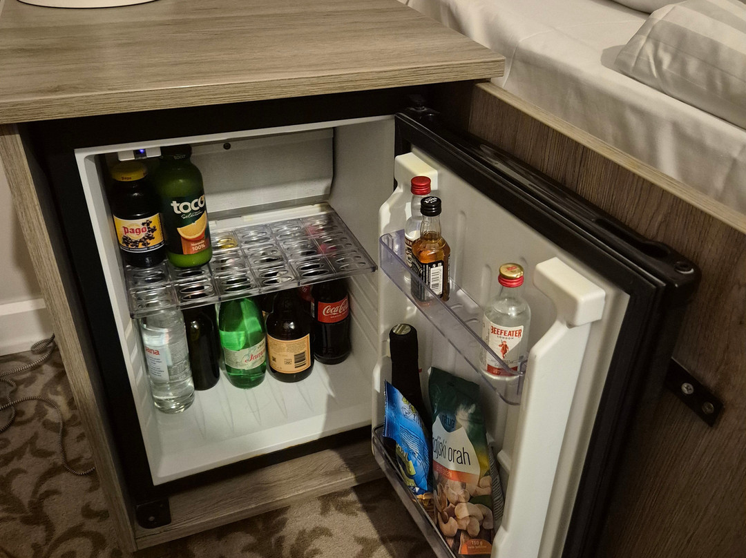 杰格尔霍姆酒店主图