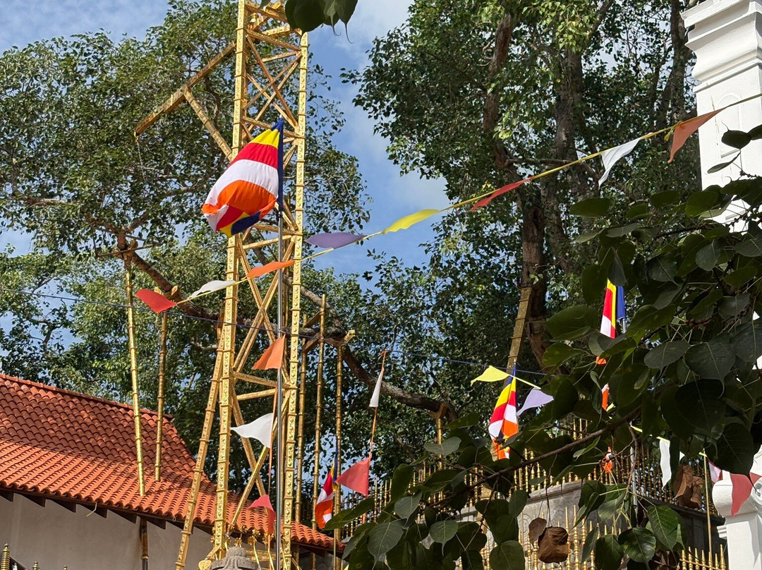 Sri Maha Boodhi Temple-阿努拉德普勒圣城必去景点