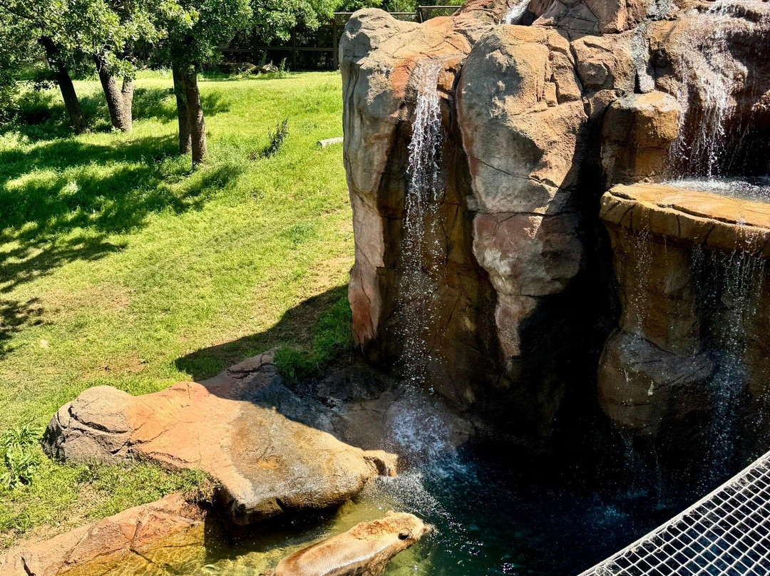 Oklahoma City Zoo and Botanical Garden-俄克拉何马城必去景点