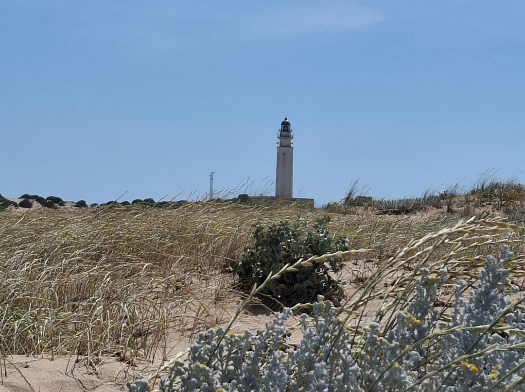 Trafalgar Lighthouse-Zahora必去景点