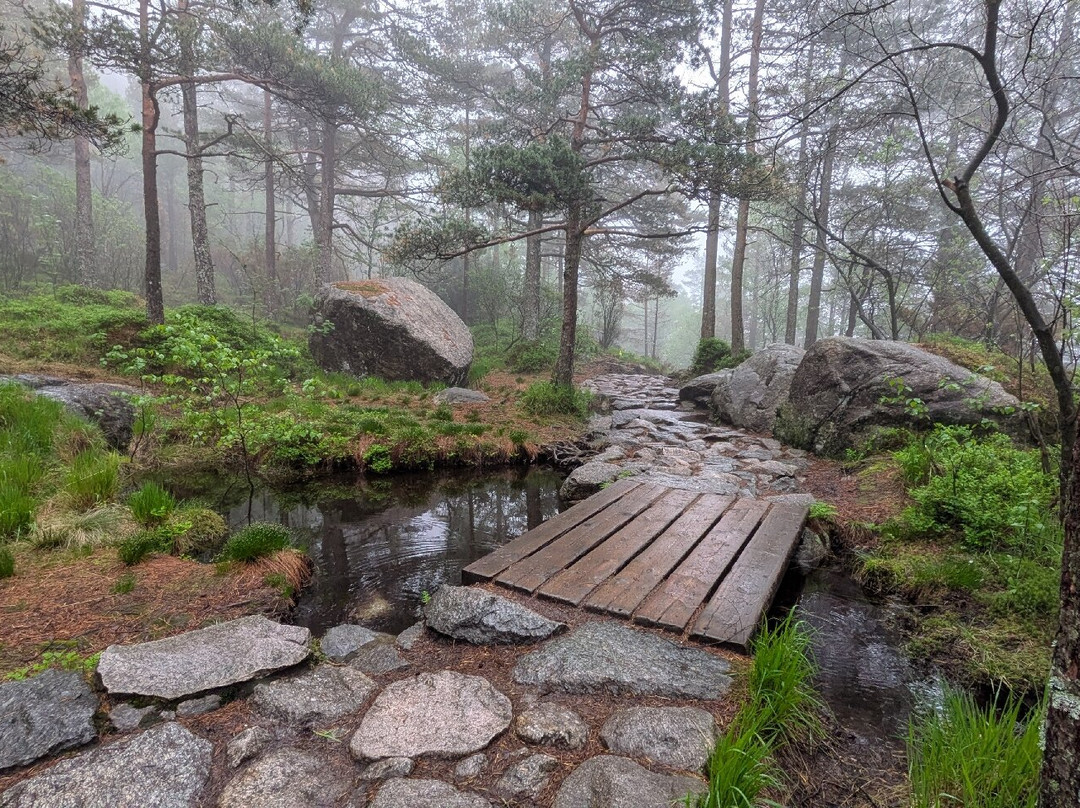 Preikestolen-福桑市必去景点