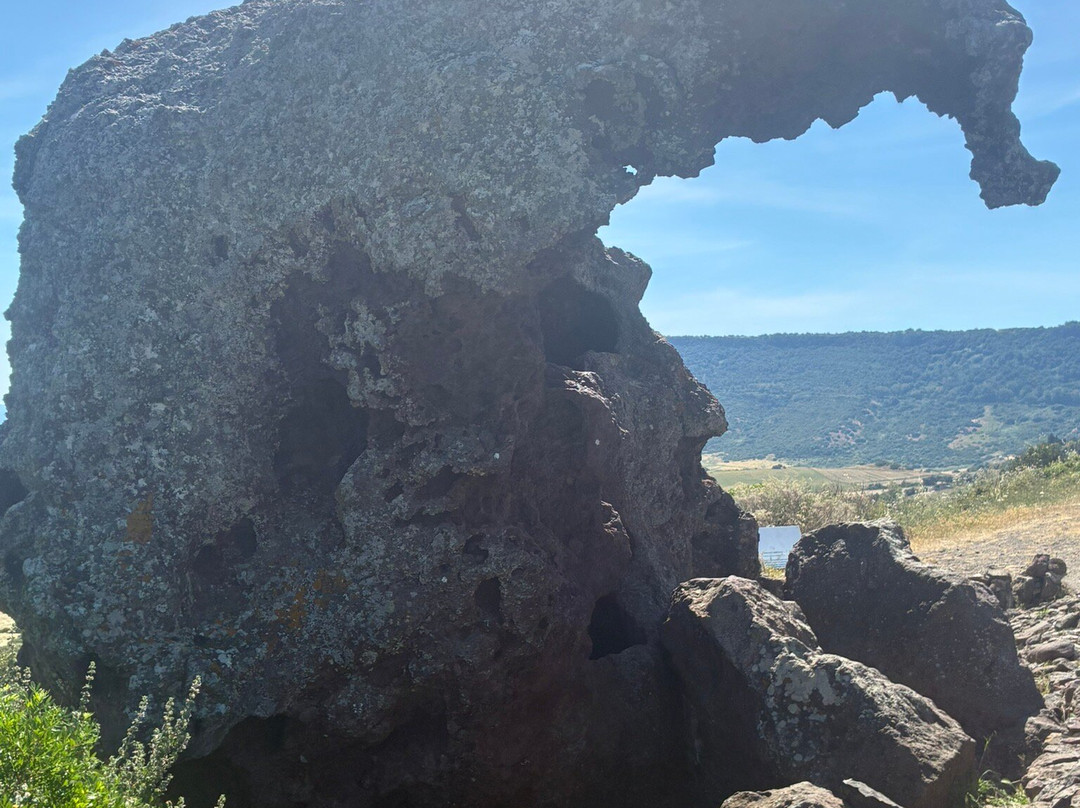 Roccia dell'Elefante-Castelsardo必去景点