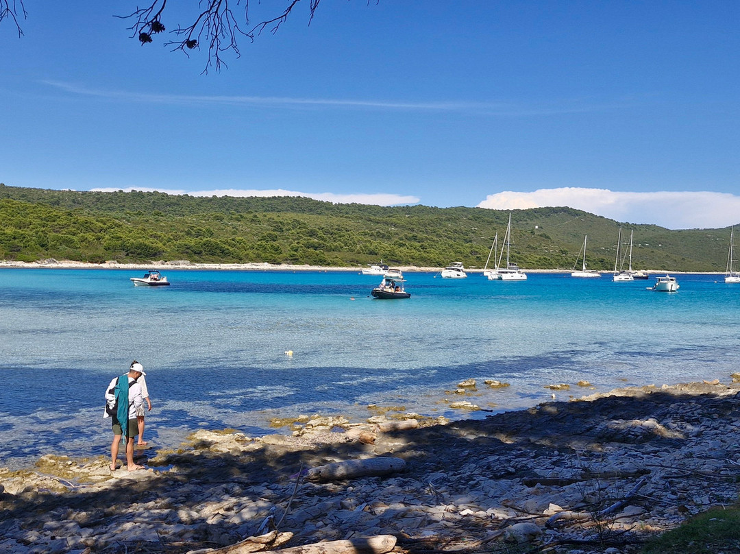 Feel Adriatic Nature Boat Tours Zadar-扎达尔必去景点