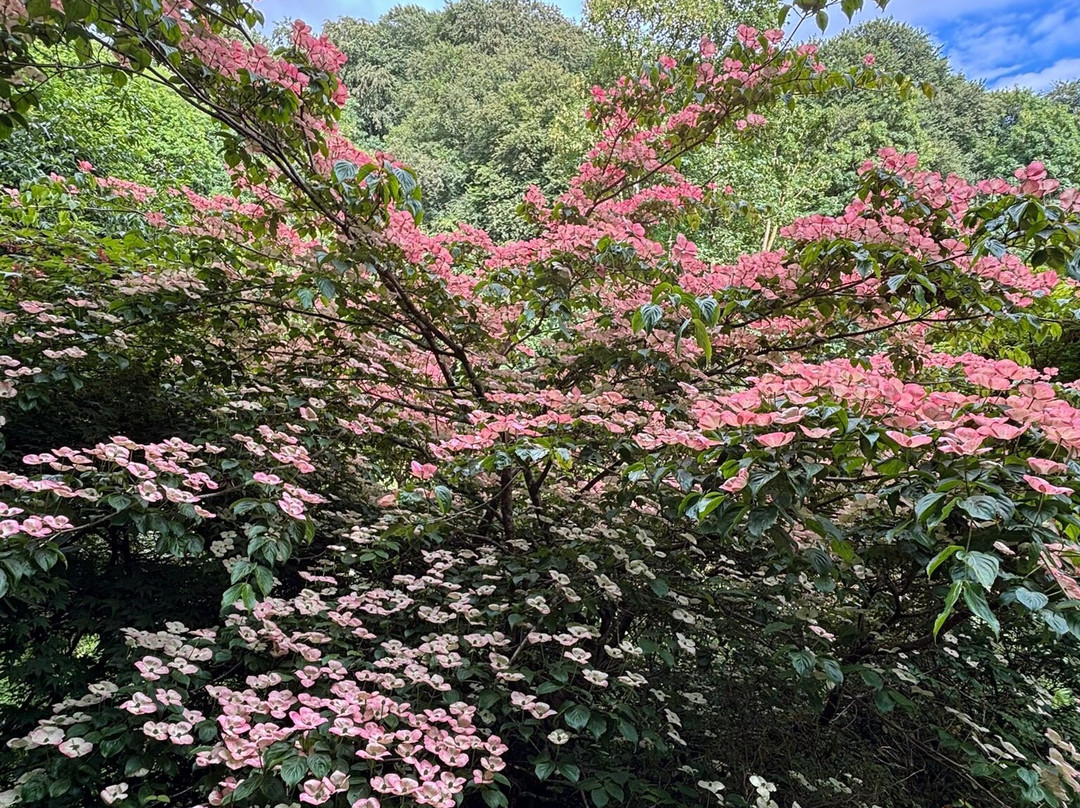 Plas Cadnant Hidden Gardens-Menai Bridge必去景点