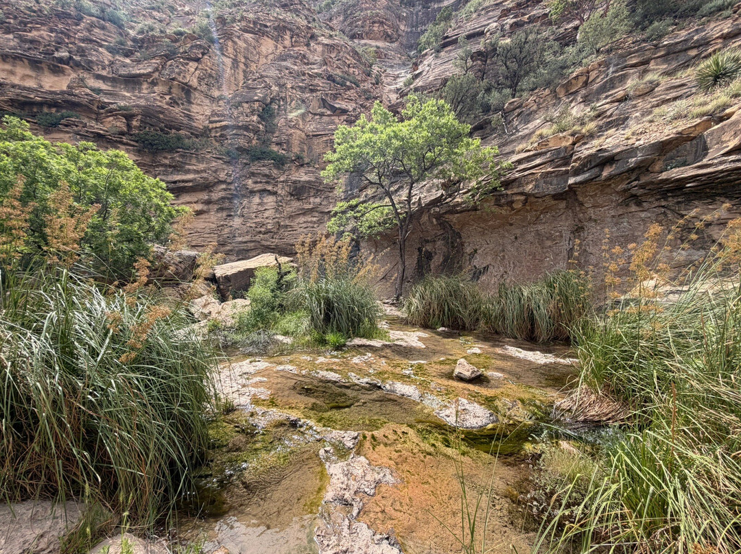 Sitting Bull Falls-卡尔斯巴德必去景点