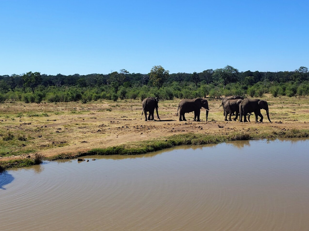 Wild Horizons Elephant Sanctuary-维多利亚瀑布必去景点