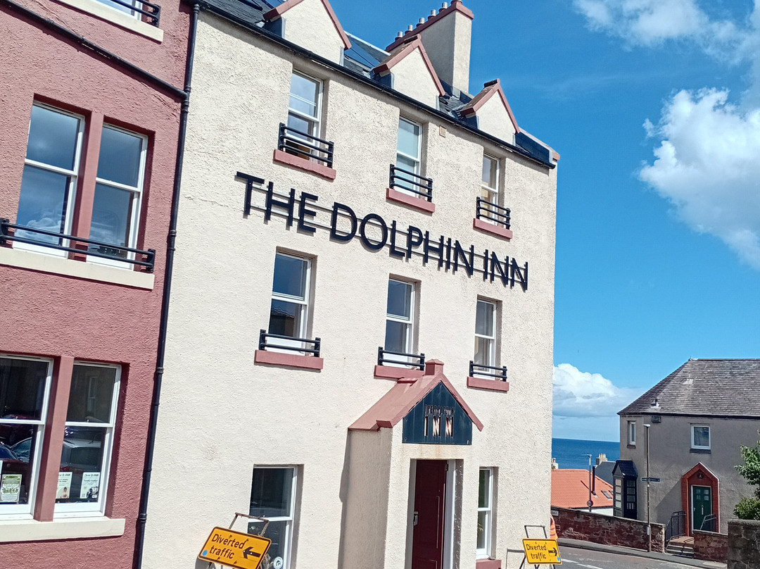 The Dolphin Inn Hostel主图