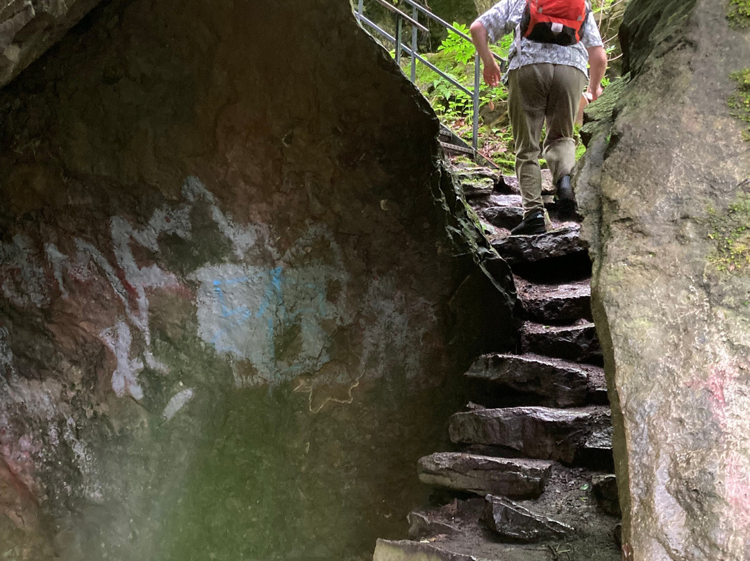 Niagara Glen Nature Areas-尼亚加拉大瀑布必去景点