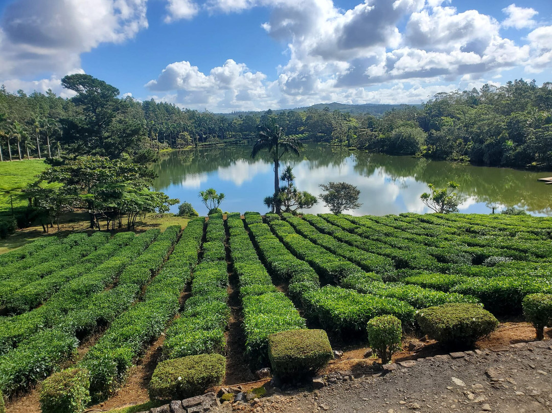 The Real Taxi Mauritius-Centre de Flacq必去景点