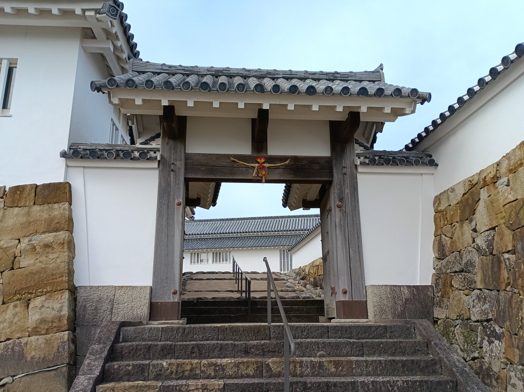 Tomioka Castle-苓北町必去景点