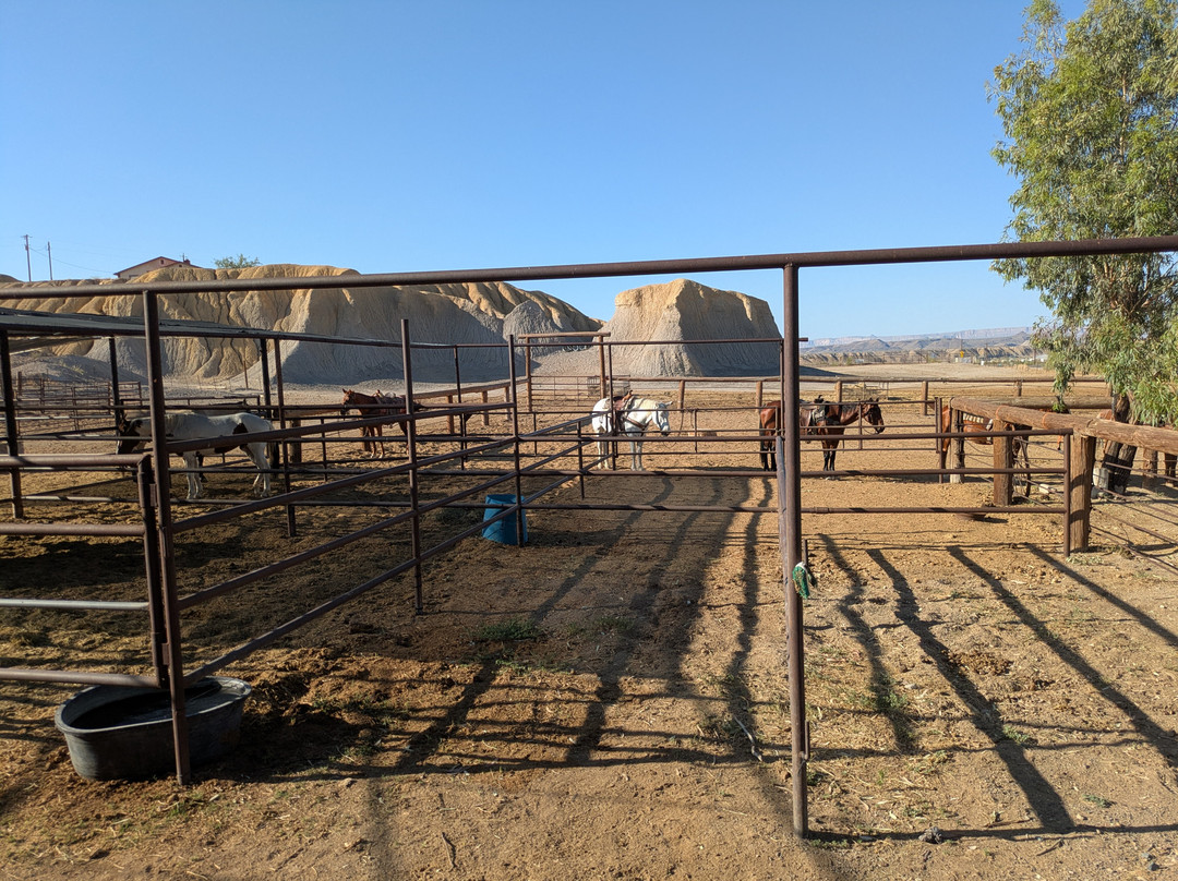 Big Bend & Lajitas Stables-Terlingua必去景点