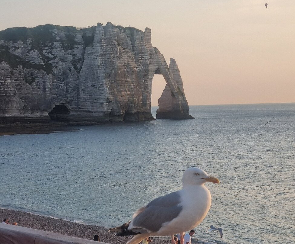 Étretat-埃特勒塔必去景点