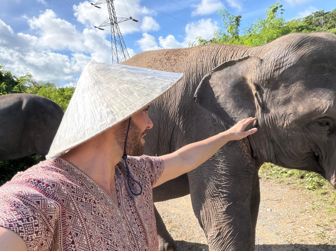 The Lake Phuket Elephant Home-Thep Krasatti必去景点