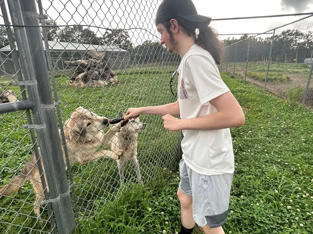 Eureka Springs Safari Park-Eagle Rock必去景点