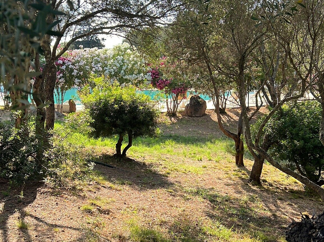 Park Hotel Porto Istana主图